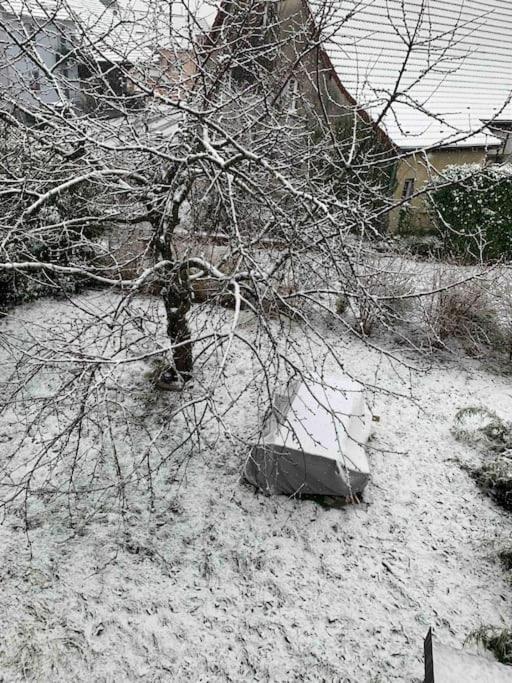 Gite Cosy Pour 2 A 4 Personnes, Village Proche Mulhouse Burnhaupt-le-Bas Buitenkant foto